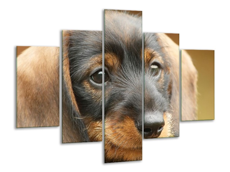 Canvas schilderij Hond | Grijs, Zwart, Bruin | 100x70cm 5Luik