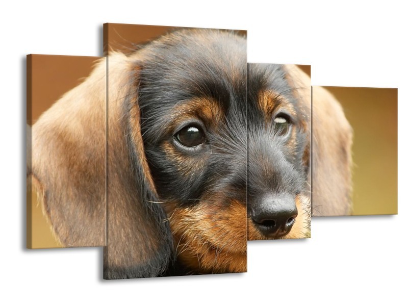 Canvas schilderij Hond | Grijs, Zwart, Bruin | 120x75cm 4Luik