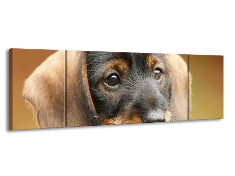 Canvas schilderij Hond | Grijs, Zwart, Bruin | 170x50cm 3Luik