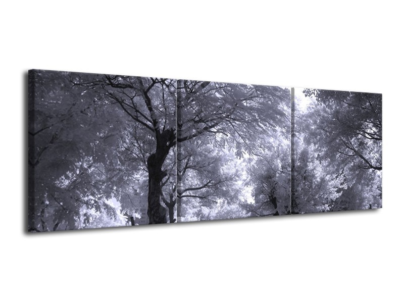 Canvas schilderij Bomen | Wit, Zwart, Grijs | 120x40cm 3Luik