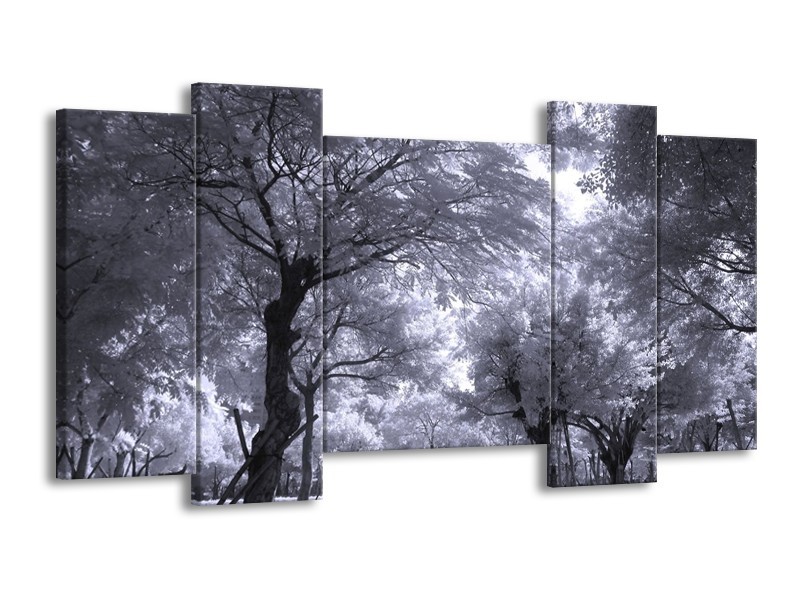 Canvas schilderij Bomen | Wit, Zwart, Grijs | 120x65 5Luik