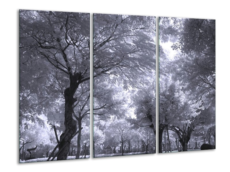 Canvas schilderij Bomen | Wit, Zwart, Grijs | 120x80cm 3Luik