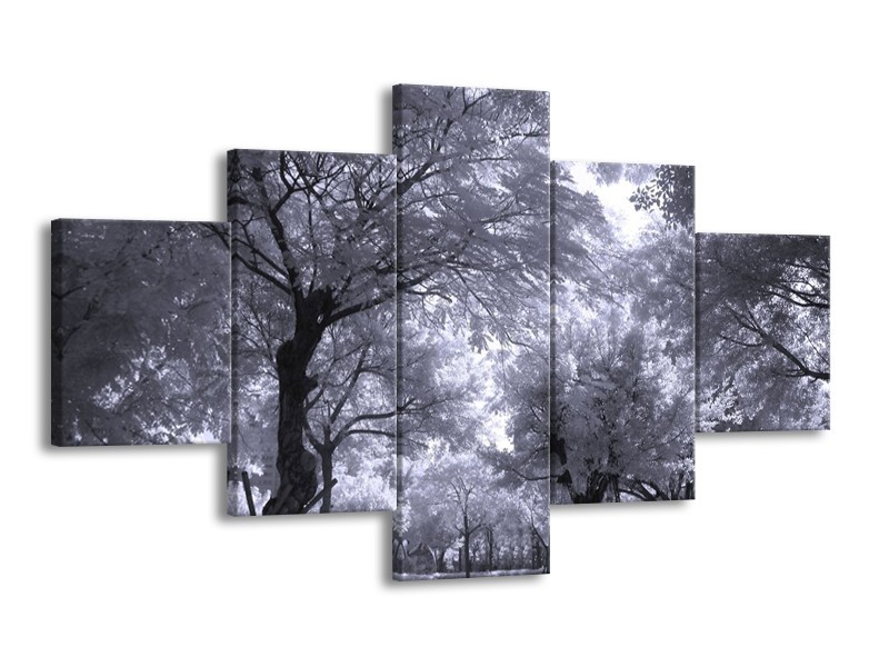 Canvas schilderij Bomen | Wit, Zwart, Grijs | 125x70cm 5Luik