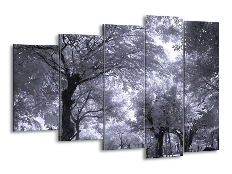 Canvas schilderij Bomen | Wit, Zwart, Grijs | 150x100cm 5Luik