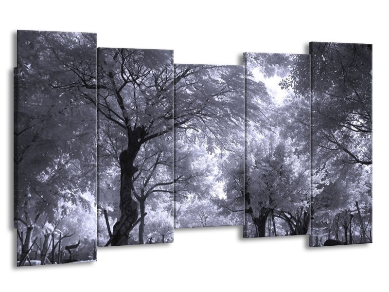 Glas schilderij Bomen | Wit, Zwart, Grijs | 150x80cm 5Luik