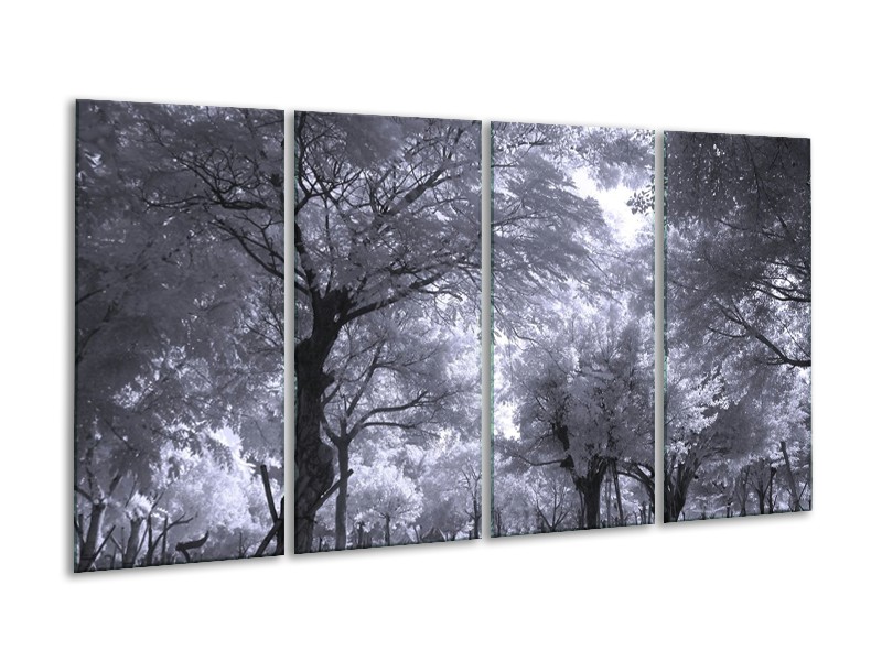 Canvas schilderij Bomen | Wit, Zwart, Grijs | 160x80cm 4Luik