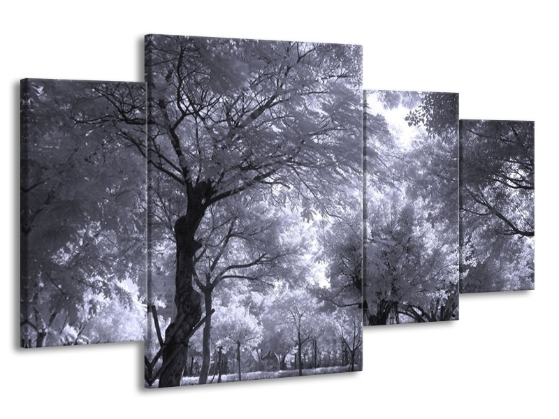 Canvas schilderij Bomen | Wit, Zwart, Grijs | 160x90cm 4Luik