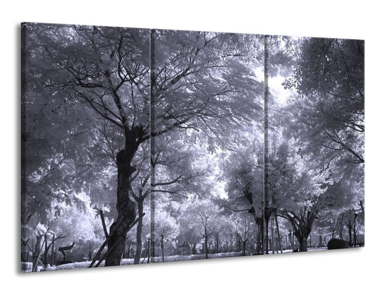 Canvas schilderij Bomen | Wit, Zwart, Grijs | 165x100cm 3Luik