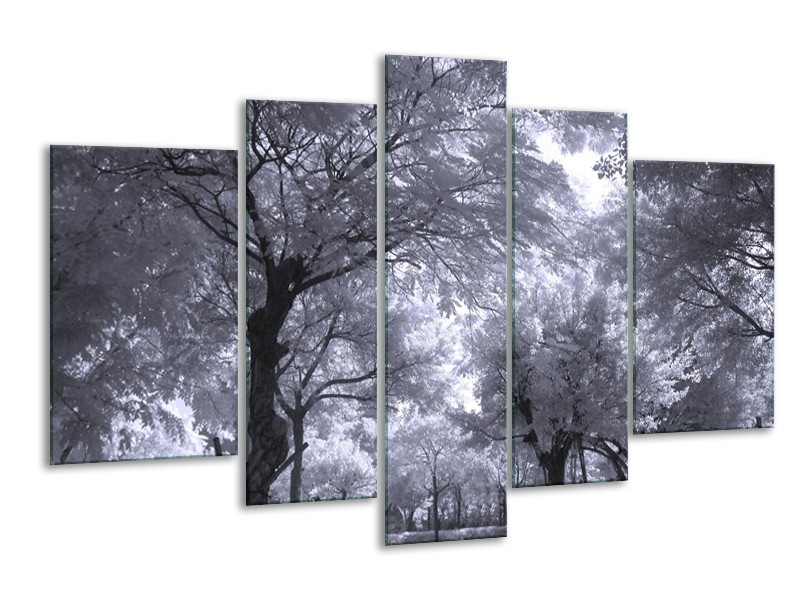 Glas schilderij Bomen | Wit, Zwart, Grijs | 170x100cm 5Luik