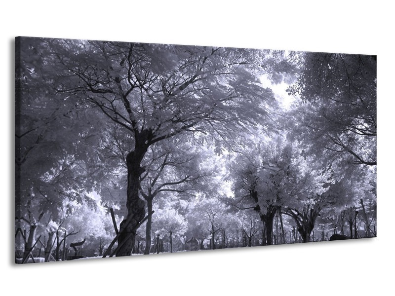Canvas schilderij Bomen | Wit, Zwart, Grijs | 170x90cm 1Luik