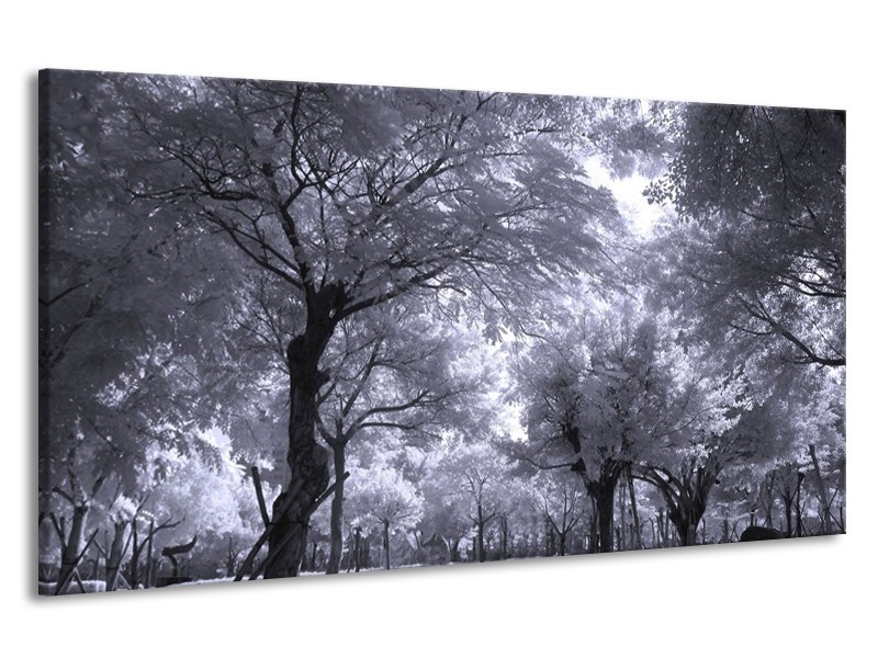 Canvas schilderij Bomen | Wit, Zwart, Grijs | 190x100cm 1Luik