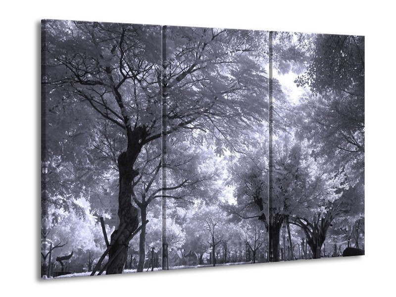 Canvas schilderij Bomen | Wit, Zwart, Grijs | 90x60cm 3Luik