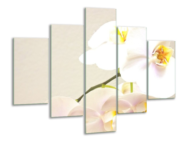 Canvas schilderij Orchidee | Crème, Wit, Geel | 100x70cm 5Luik