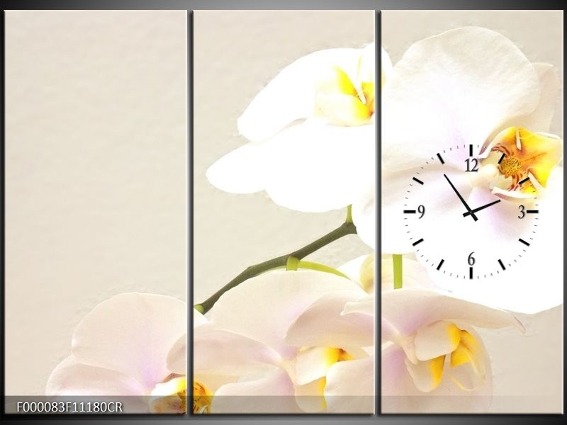 Klok schilderij Orchidee | Crème, Wit, Geel | 111x80cm 3Luik
