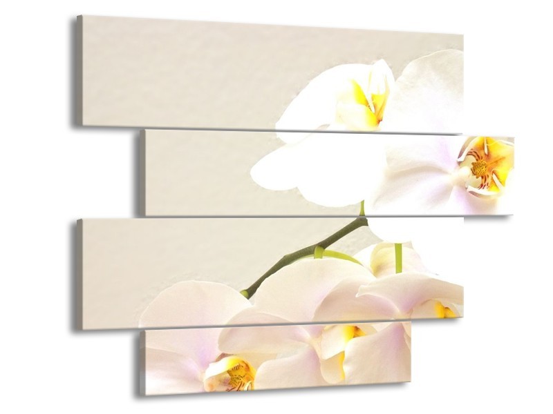 Canvas schilderij Orchidee | Crème, Wit, Geel | 115x85cm 4Luik