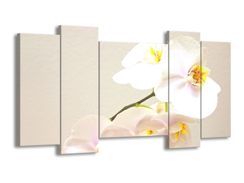 Glas schilderij Orchidee | Crème, Wit, Geel | 120x65cm 5Luik