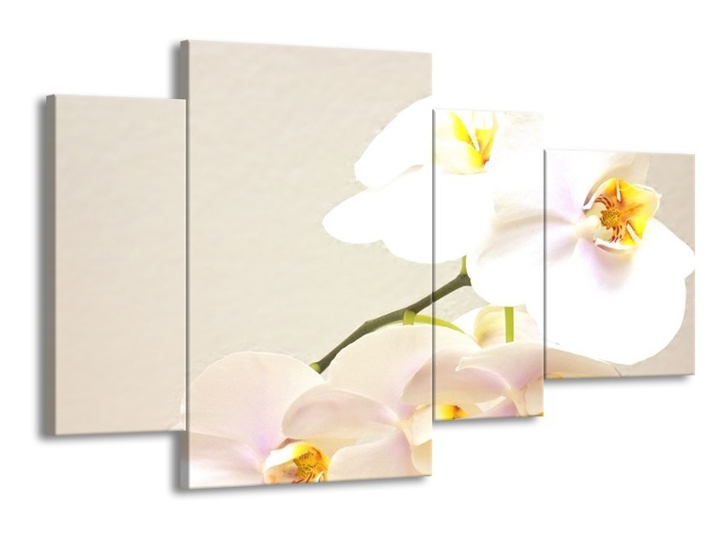 Glas schilderij Orchidee | Crème, Wit, Geel | 120x75cm 4Luik