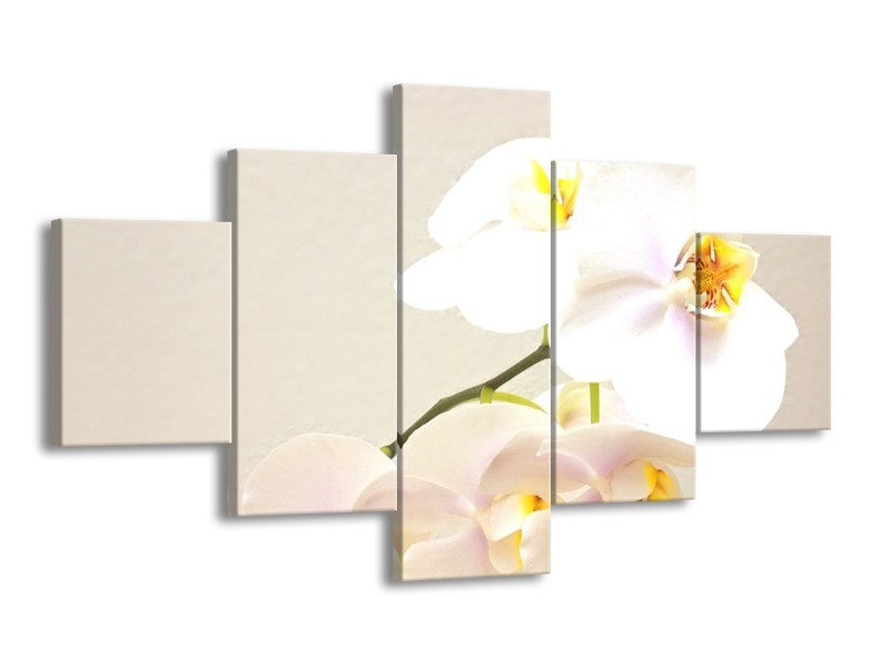 Canvas schilderij Orchidee | Crème, Wit, Geel | 125x70cm 5Luik