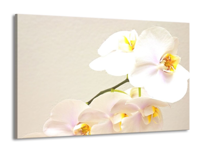 Canvas schilderij Orchidee | Crème, Wit, Geel | 140x90cm 1Luik