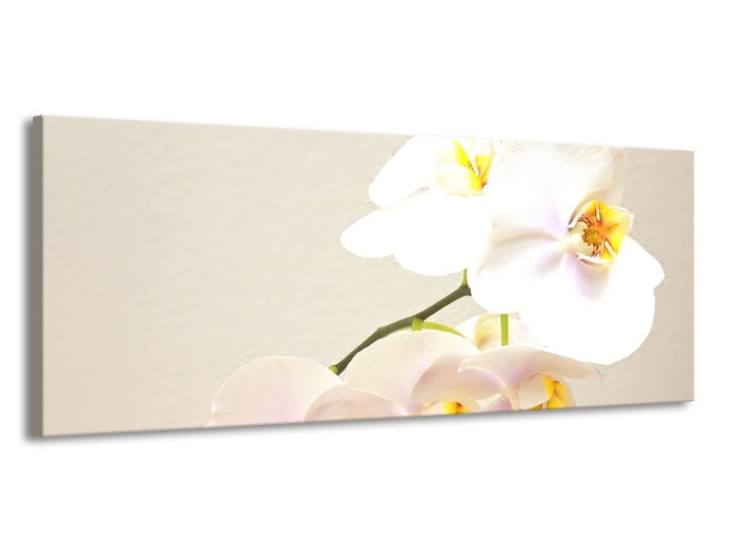 Canvas schilderij Orchidee | Crème, Wit, Geel | 145x58cm 1Luik