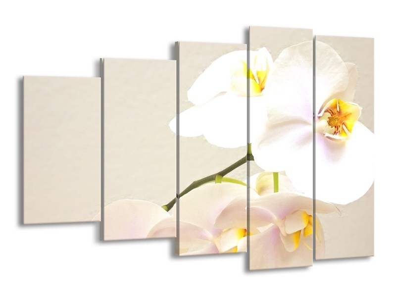 Canvas schilderij Orchidee | Crème, Wit, Geel | 150x100cm 5Luik