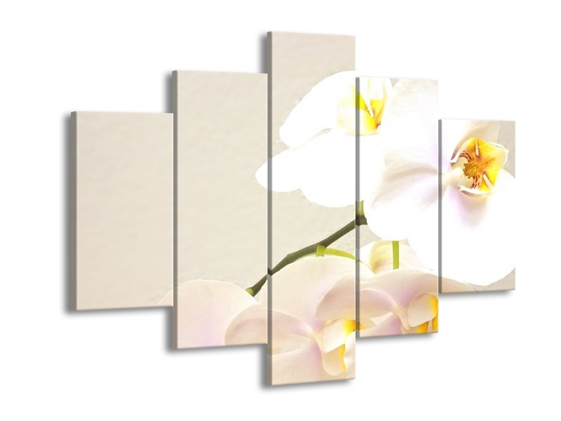 Canvas schilderij Orchidee | Crème, Wit, Geel | 150x105cm 5Luik