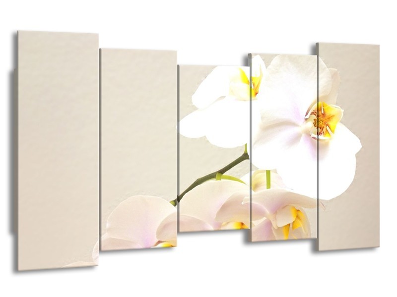 Glas schilderij Orchidee | Crème, Wit, Geel | 150x80cm 5Luik