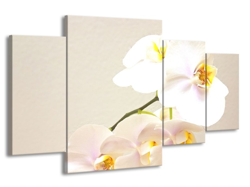 Glas schilderij Orchidee | Crème, Wit, Geel | 160x90cm 4Luik