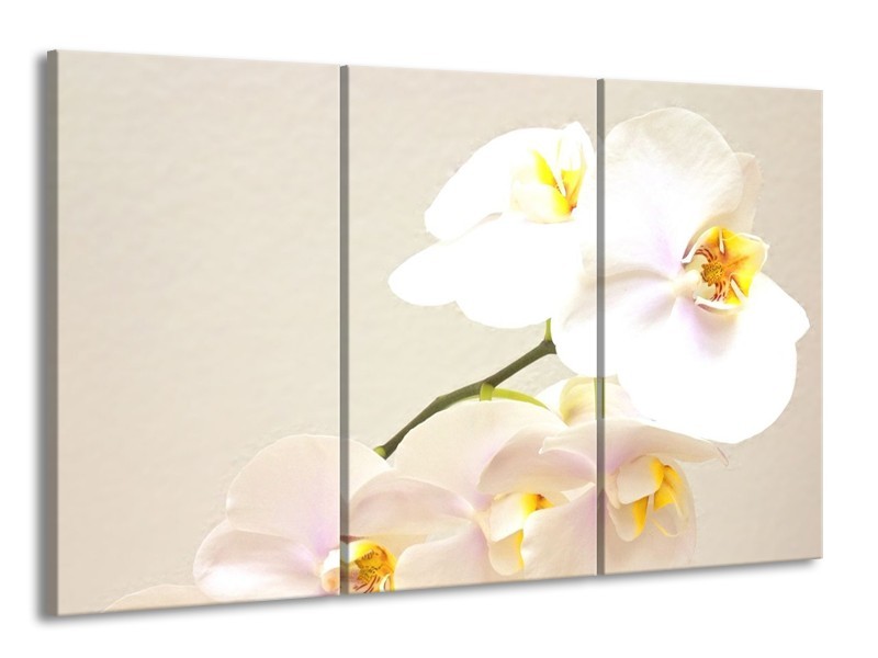 Glas schilderij Orchidee | Crème, Wit, Geel | 165x100cm 3Luik