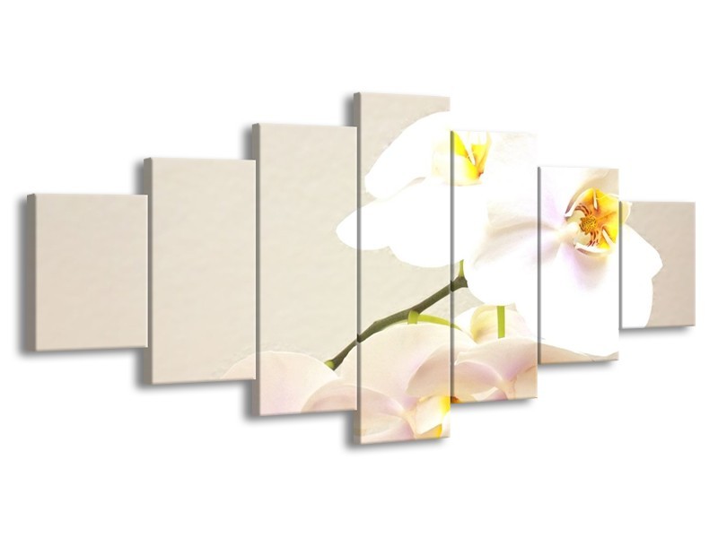Canvas schilderij Orchidee | Crème, Wit, Geel | 210x100cm 7Luik