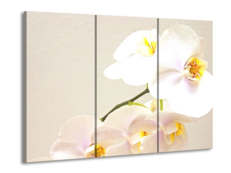 Glas schilderij Orchidee | Crème, Wit, Geel | 90x60cm 3Luik