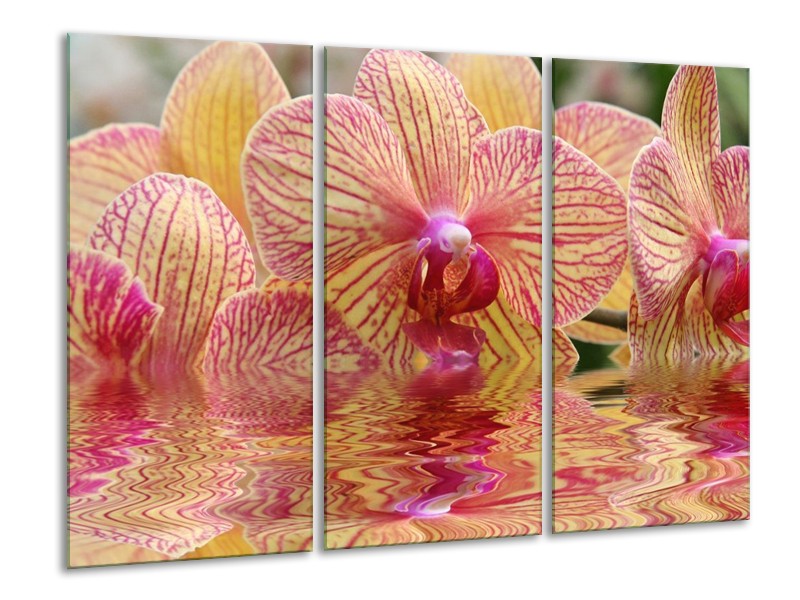 Canvas schilderij Orchidee | Geel, Rood, Wit | 120x80cm 3Luik