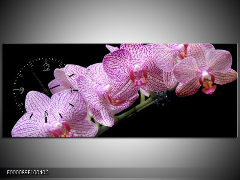 Klok schilderij Orchidee | Paars, Zwart | 100x40cm 1Luik