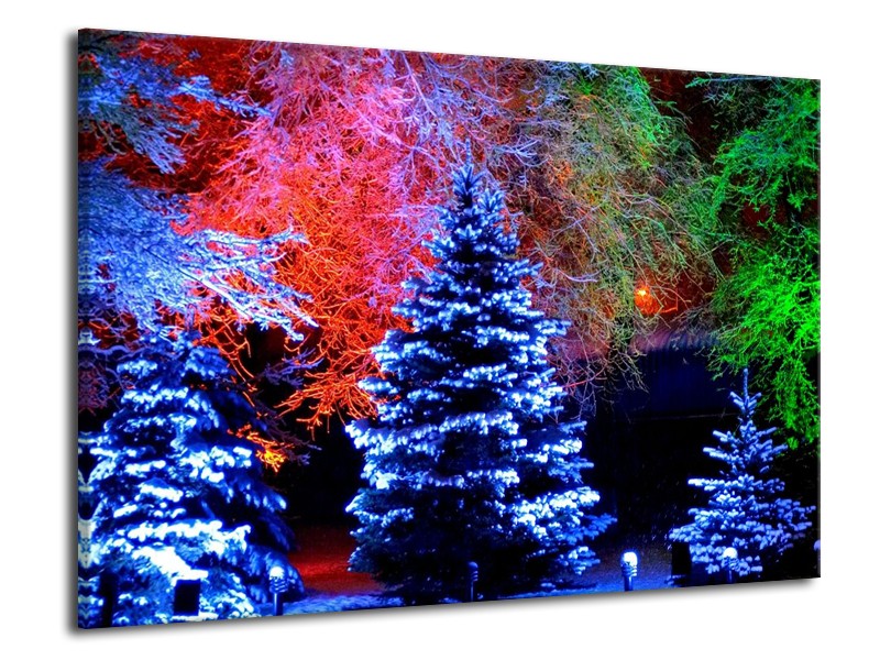 Glas schilderij Kerstboom | Blauw, Groen, Rood | 70x50cm 1Luik