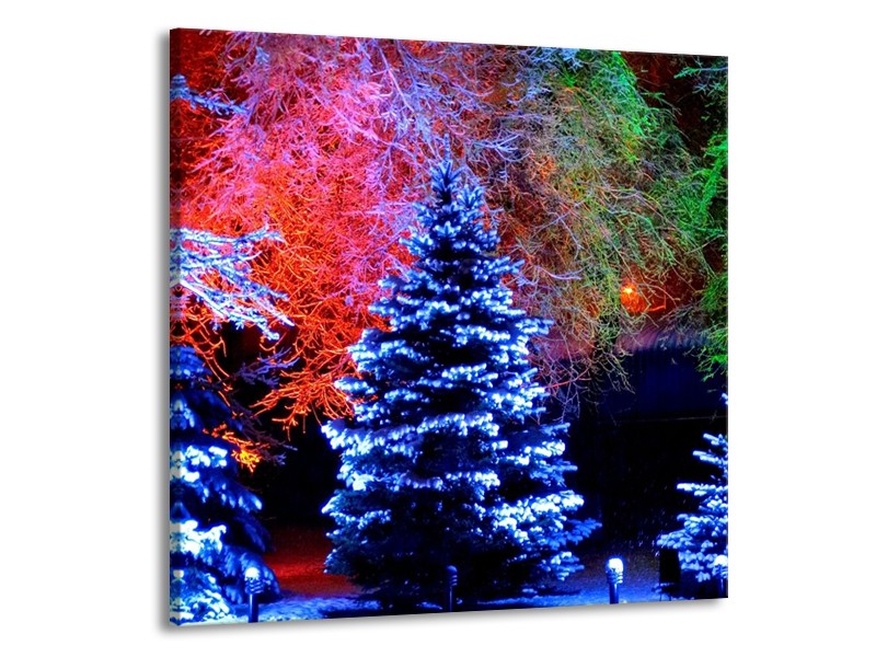 Glas schilderij Kerstboom | Blauw, Groen, Rood | 70x70cm 1Luik