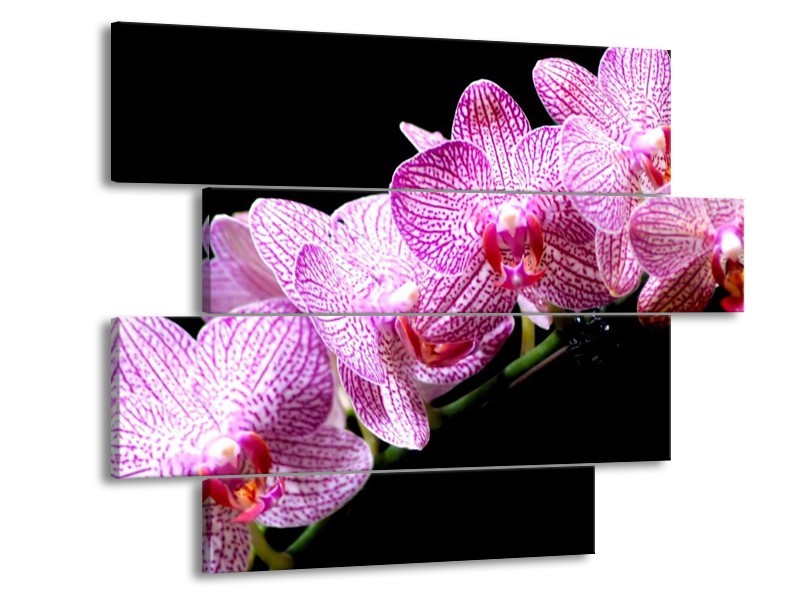 Canvas schilderij Orchidee | Paars, Wit, Zwart | 115x85cm 4Luik