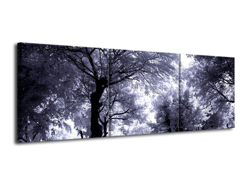 Glas schilderij Bomen | Grijs, Wit, Zwart | 120x40cm 3Luik