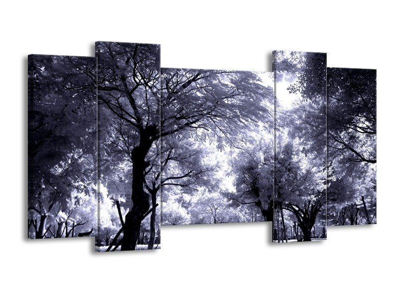 Glas schilderij Bomen | Grijs, Wit, Zwart | 120x65cm 5Luik
