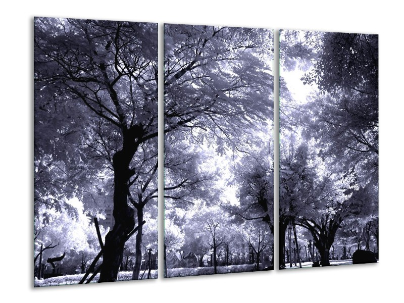 Glas schilderij Bomen | Grijs, Wit, Zwart | 120x80cm 3Luik