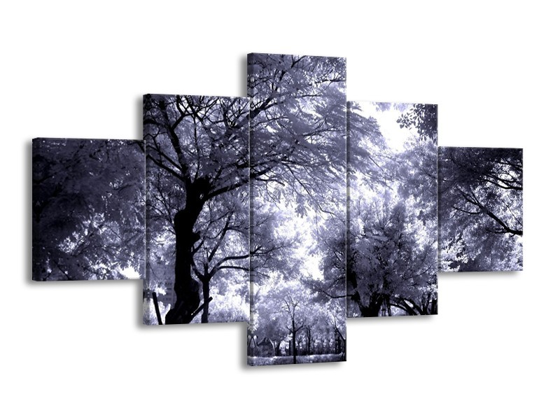 Glas schilderij Bomen | Grijs, Wit, Zwart | 125x70cm 5Luik