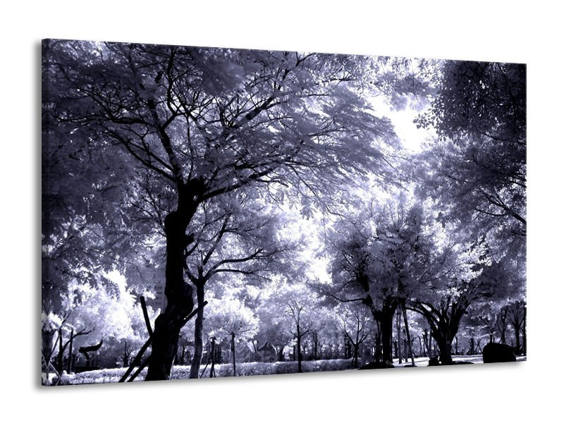 Glas schilderij Bomen | Grijs, Wit, Zwart | 140x90cm 1Luik