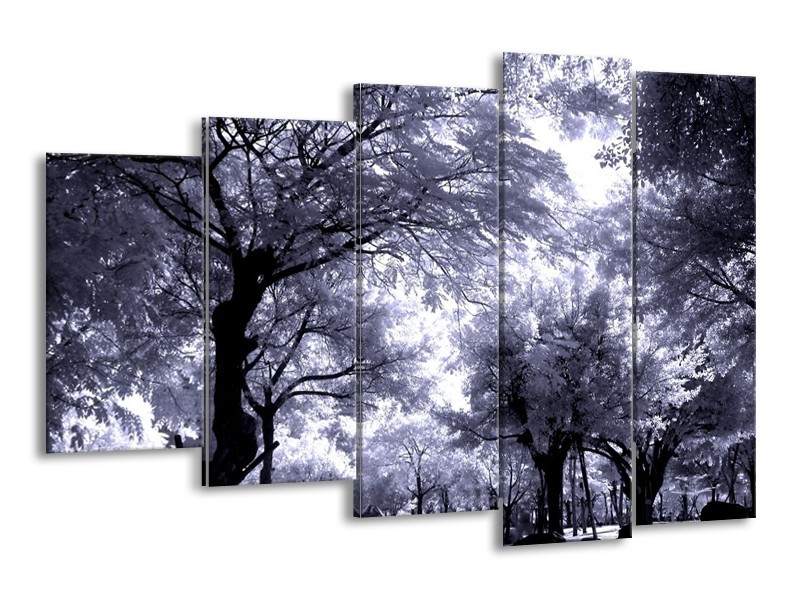 Canvas schilderij Bomen | Grijs, Wit, Zwart | 150x100cm 5Luik