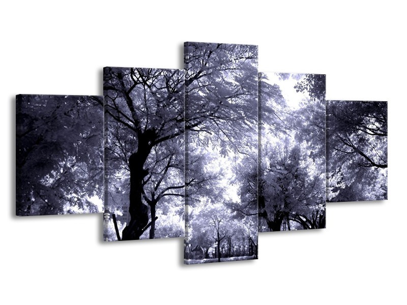 Canvas schilderij Bomen | Grijs, Wit, Zwart | 150x80cm 5Luik