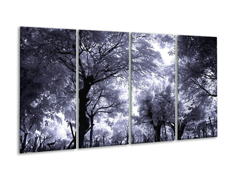 Glas schilderij Bomen | Grijs, Wit, Zwart | 160x80cm 4Luik