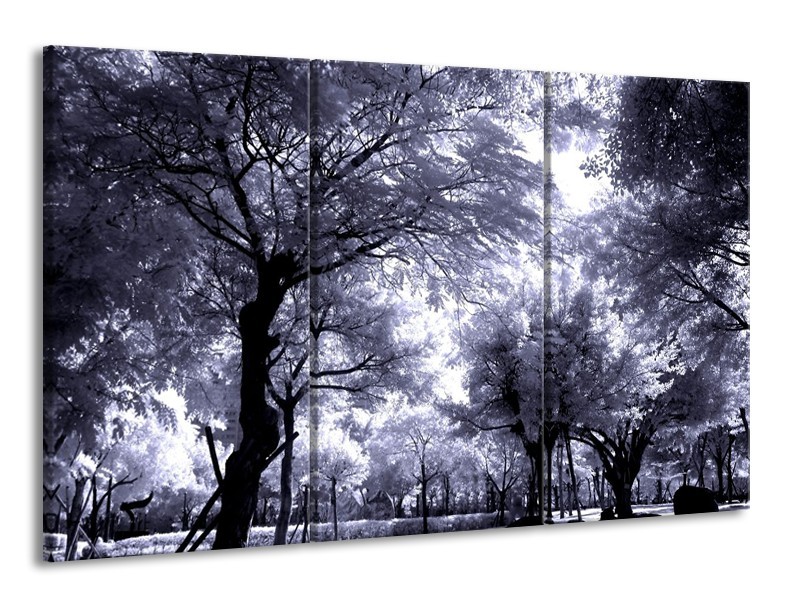 Glas schilderij Bomen | Grijs, Wit, Zwart | 165x100cm 3Luik