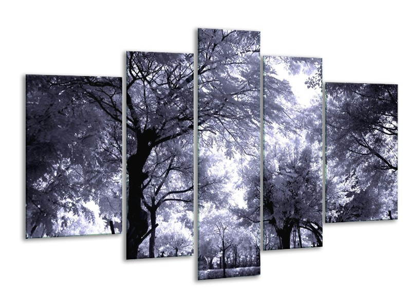 Glas schilderij Bomen | Grijs, Wit, Zwart | 170x100cm 5Luik