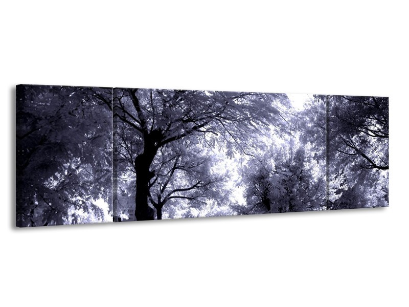 Glas schilderij Bomen | Grijs, Wit, Zwart | 170x50cm 3Luik