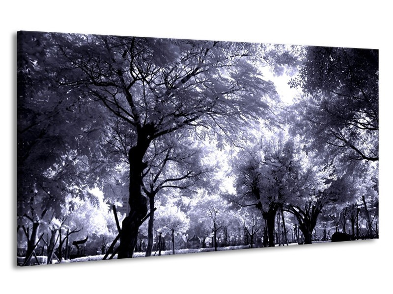 Canvas schilderij Bomen | Grijs, Wit, Zwart | 190x100cm 1Luik