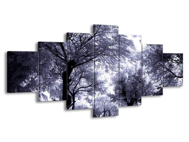 Glas schilderij Bomen | Grijs, Wit, Zwart | 210x100cm 7Luik