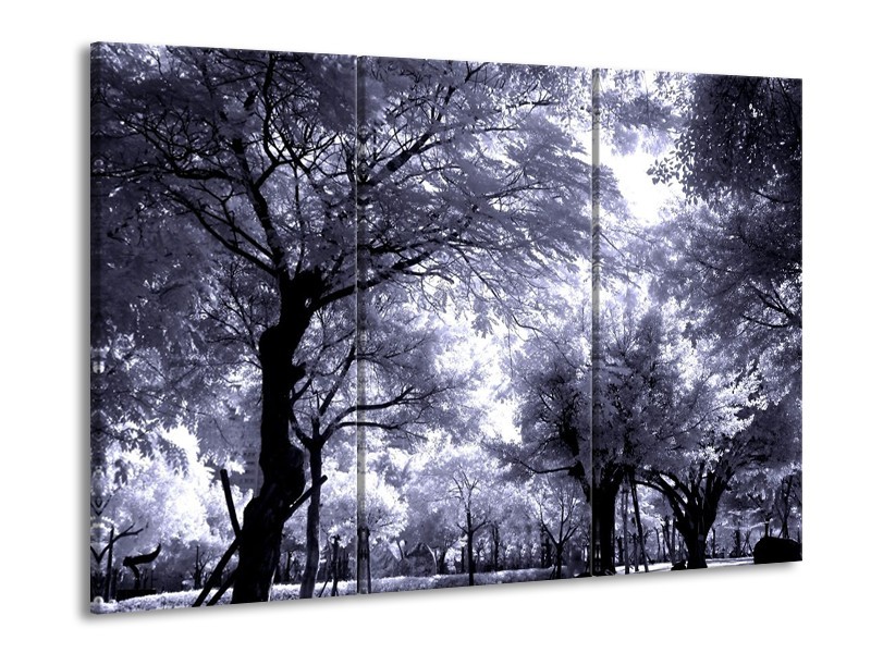 Canvas schilderij Bomen | Grijs, Wit, Zwart | 90x60cm 3Luik